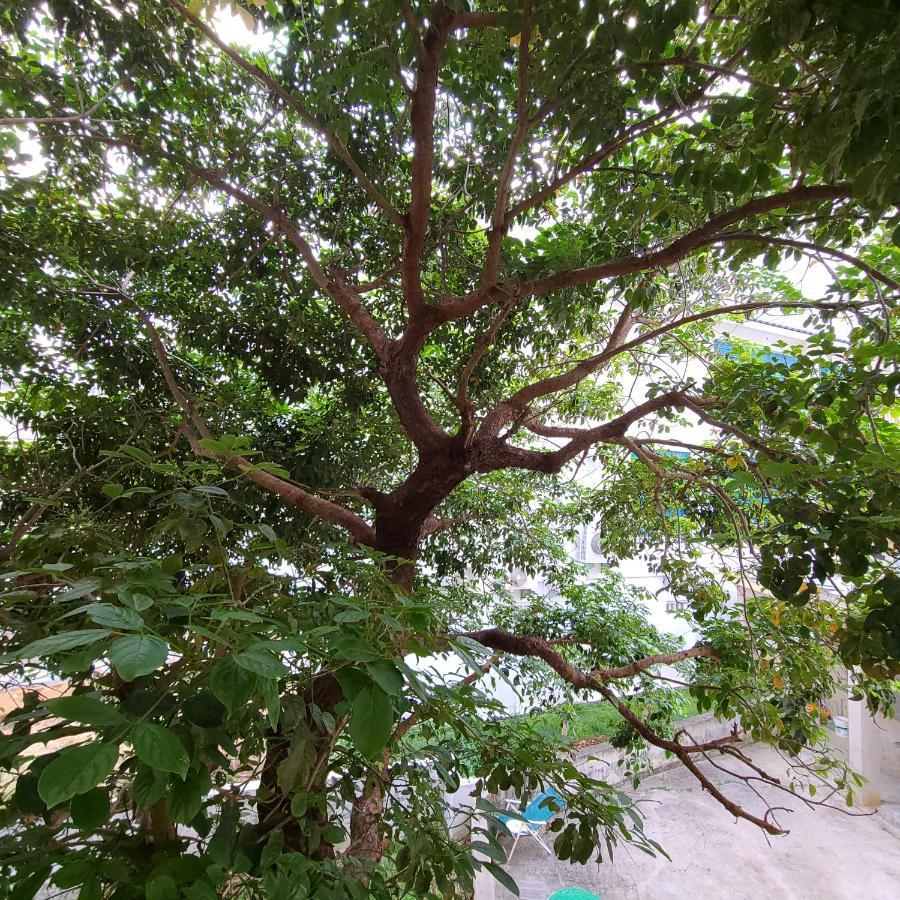 白砂灣藍海之丘blue Ocean Hill Bed & Breakfast Hằng Xuân Cổ Trấn Ngoại thất bức ảnh